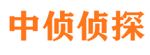 安徽市调查公司